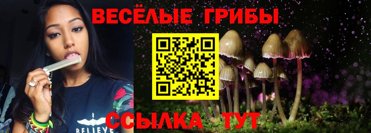 Киров  Галлюциногенные грибы Psilocybine cubensis  Псилоцибиновые грибы Psilocybe  Вход с VPN 